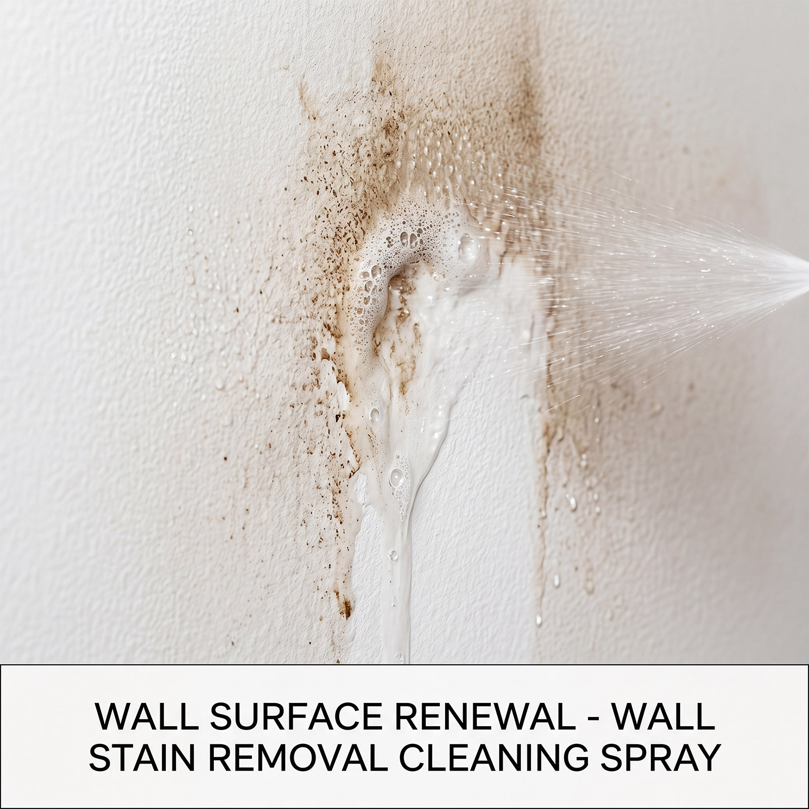 Mildew Remover Wall Spray Clea - огляд і ціна Home Bathroom Cleaning